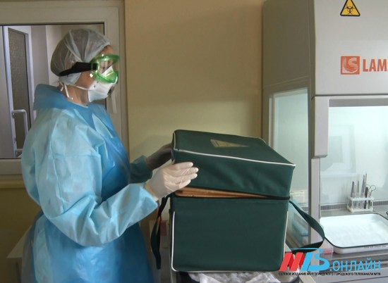 В Волгоградской области выявлено 98 коронавирусных больных